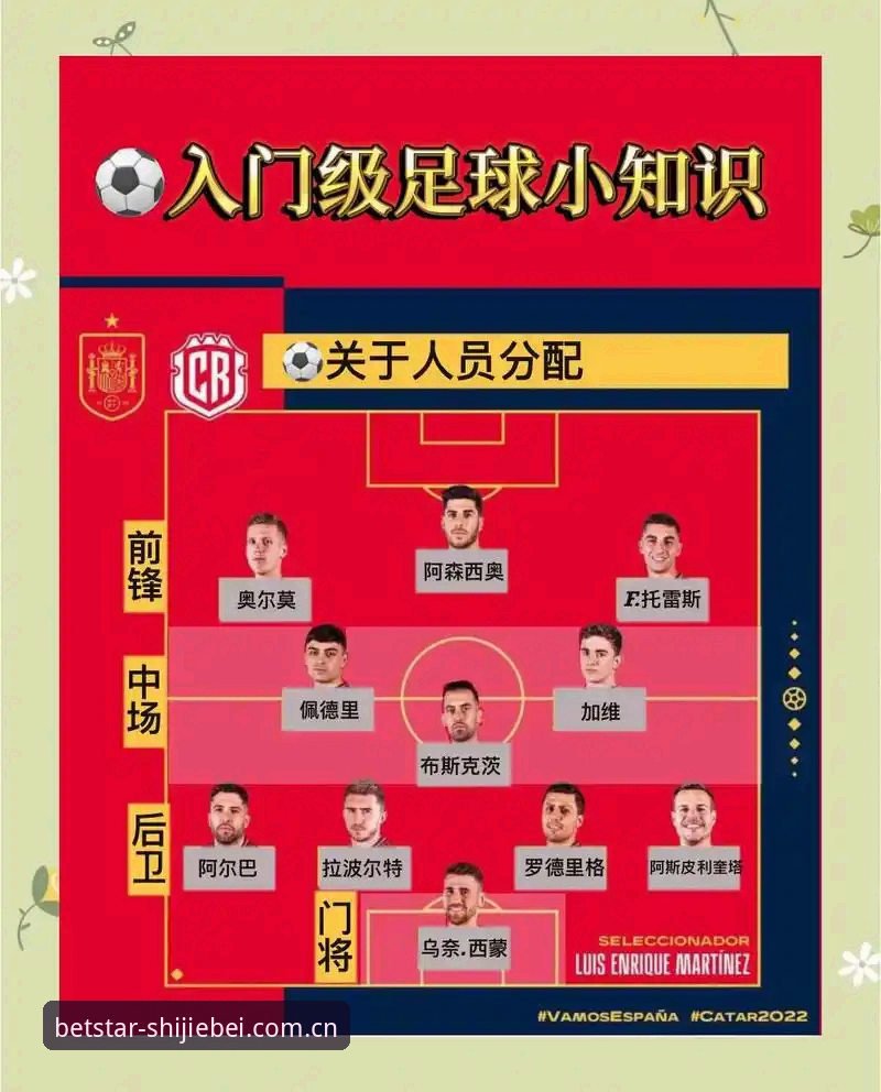 世界杯热门赛事回放的4大实用技巧：新手也能轻松掌握观赛全攻略